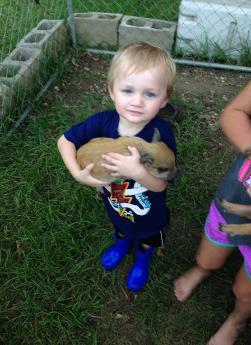 Noah holding a miniature pig
