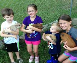 Kids holding miniature pigs