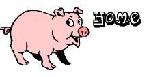 Miniature pig home page